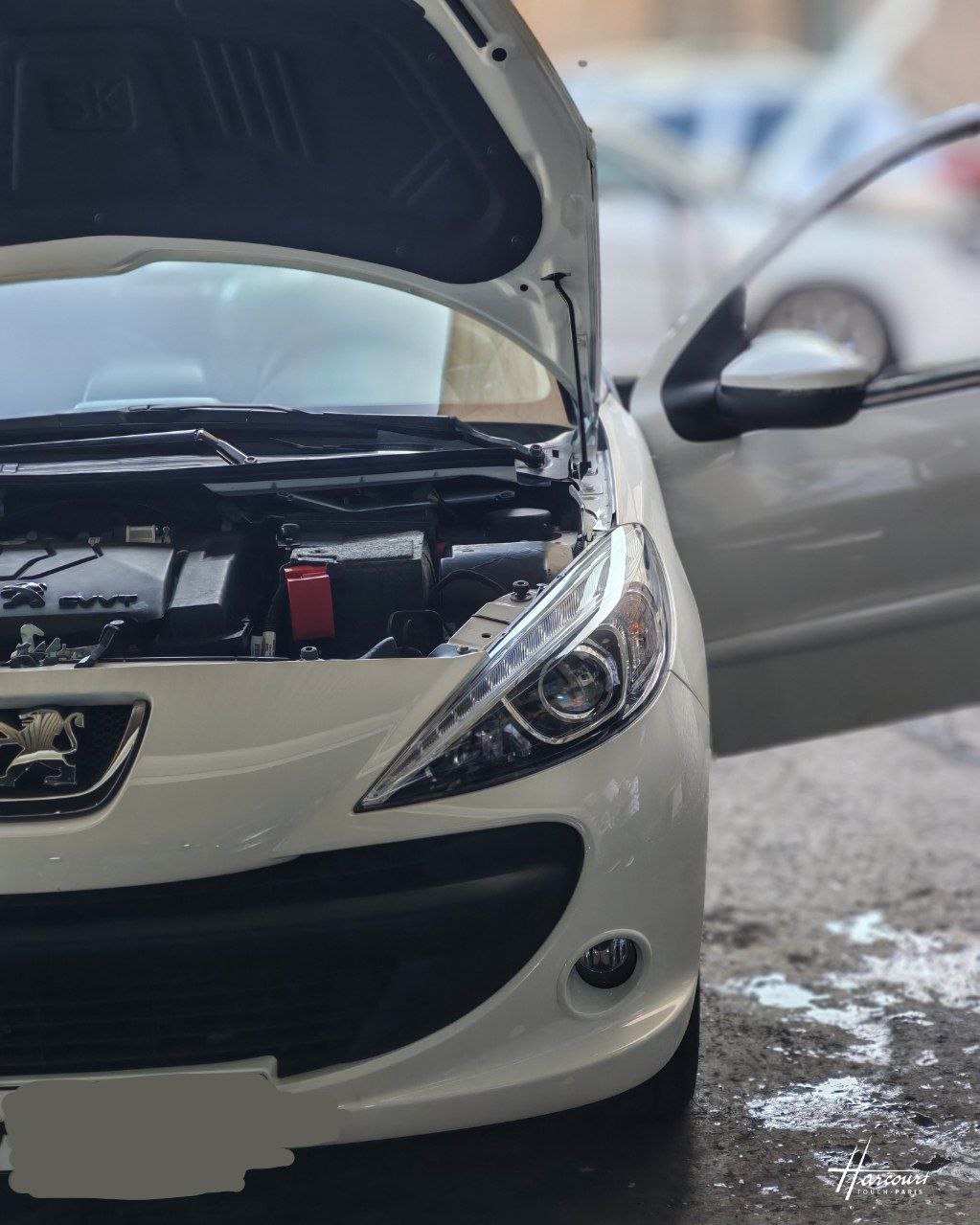 photo_2025-10-24_10-16-42